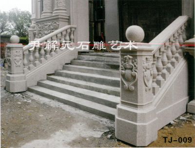 TJ-009